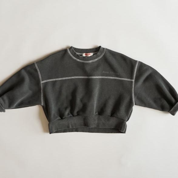 Pigment crop sweatshirt