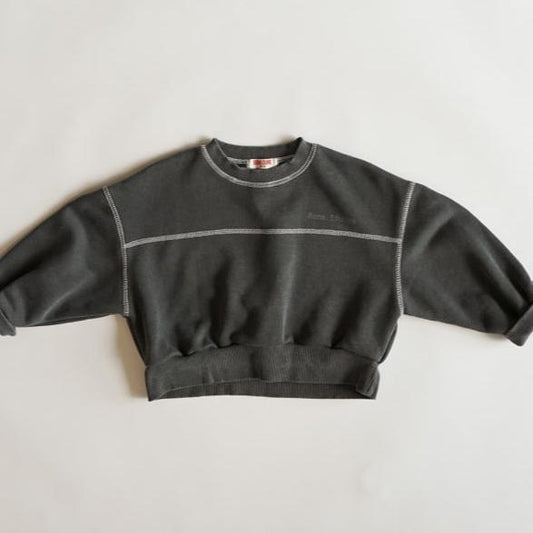 Pigment crop sweatshirt