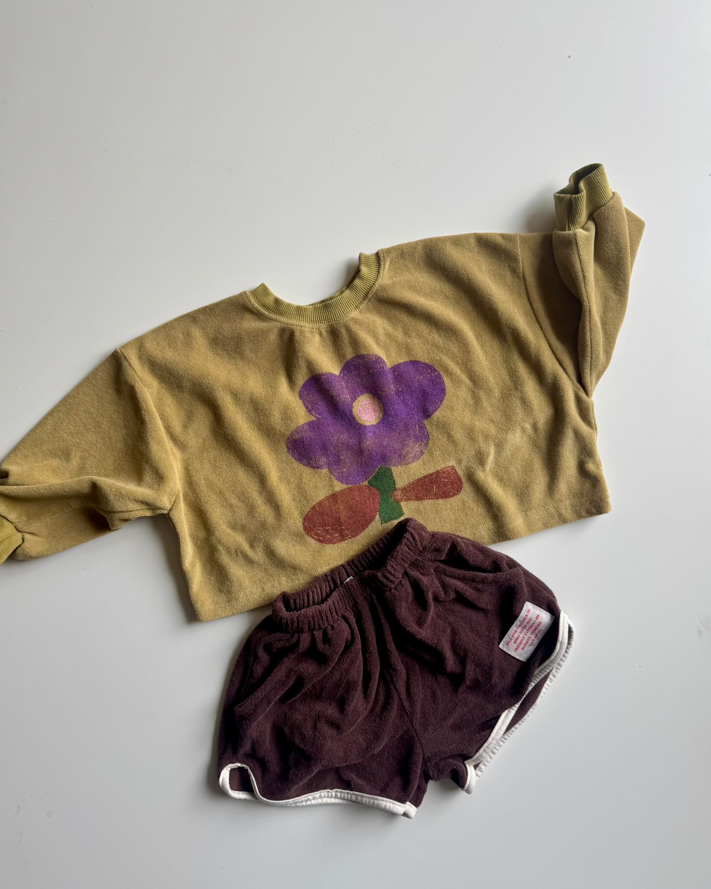 Daisy crop sweater