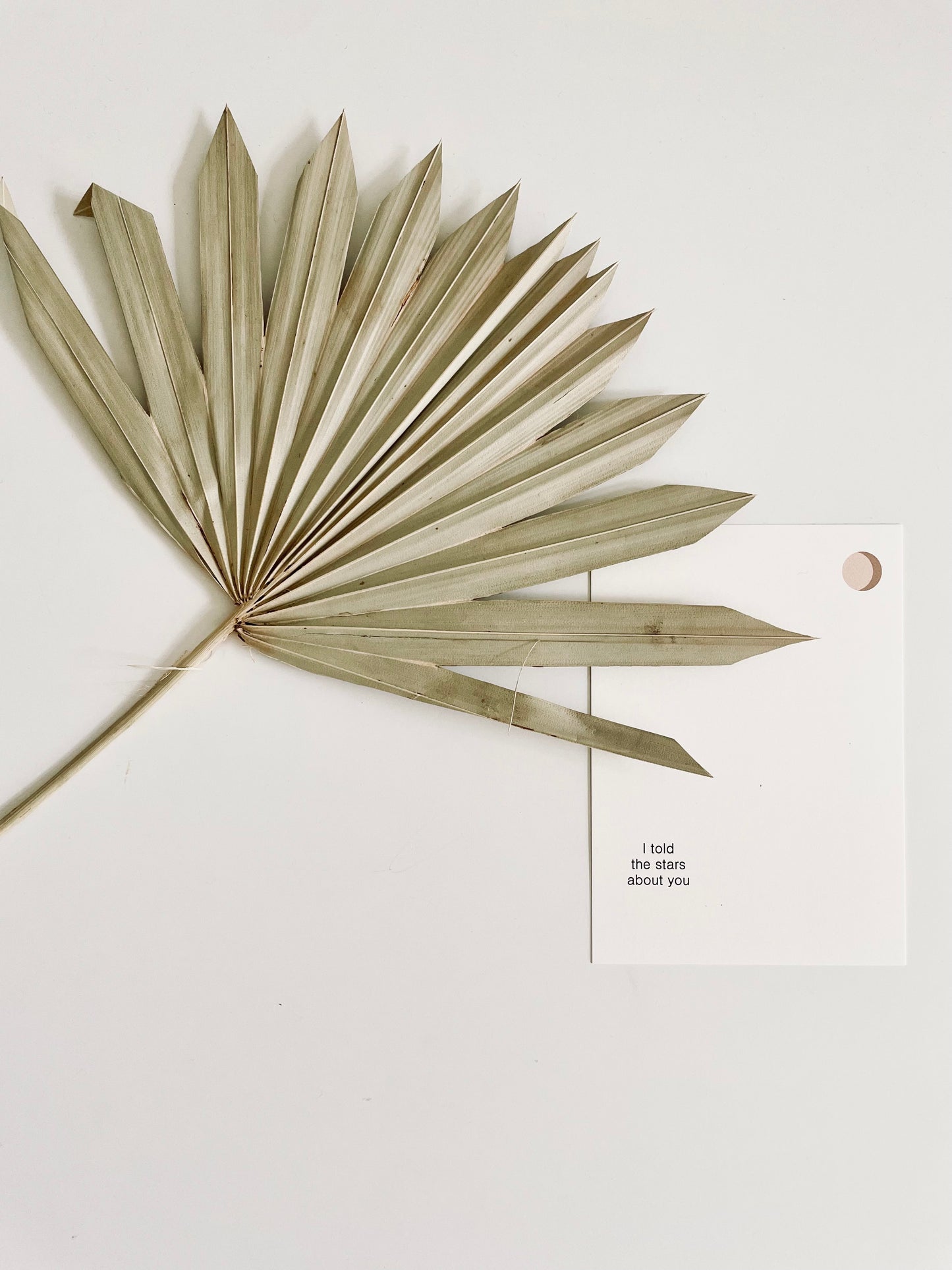over the moon - greeting cards for charity