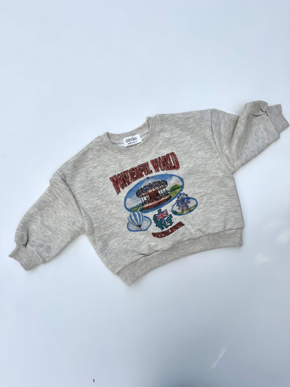 Amusement park sweatshirt