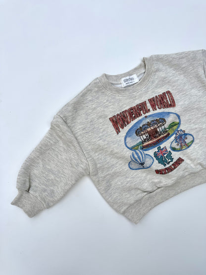 Amusement park sweatshirt